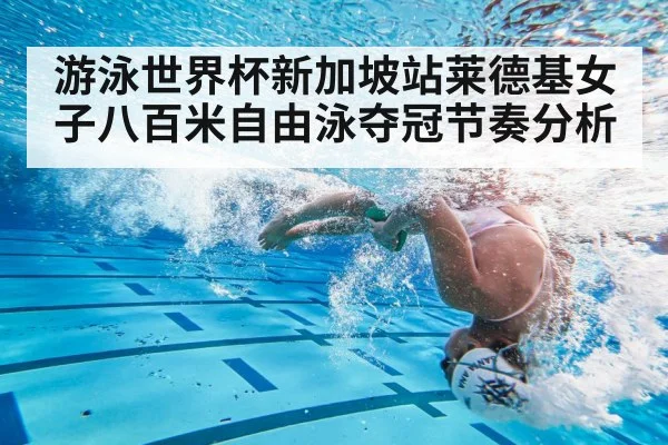 游泳世界杯新加坡站莱德基女子八百米自由泳夺冠节奏分析 | kaiyun